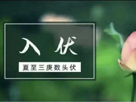 健康科普|關(guān)于“三伏天”養(yǎng)生 你想了解的都在這里